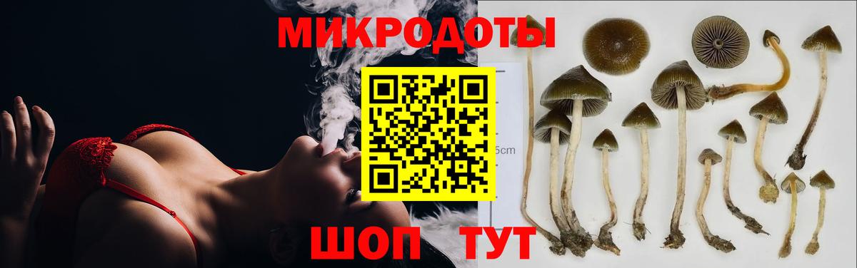 Псилоцибиновые грибы Magic Shrooms  Галлюциногенные грибы GOLDEN TEACHER  Чайковский  Вход с VPN 